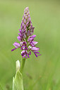 BUITEN BEELD Foto: 297797