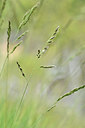 BUITEN BEELD Foto: 297805