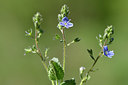 BUITEN BEELD Foto: 297810
