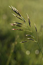 BUITEN BEELD Foto: 297817