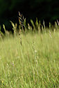 BUITEN BEELD Foto: 297820
