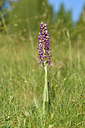 BUITEN BEELD Foto: 297830