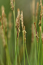 BUITEN BEELD Foto: 297844