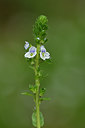 BUITEN BEELD Foto: 297851
