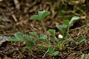 BUITEN BEELD Foto: 297856