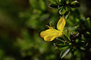 BUITEN BEELD Foto: 297857