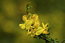 BUITEN BEELD Foto: 297858