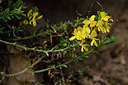 BUITEN BEELD Foto: 297859