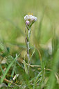 BUITEN BEELD Foto: 297864