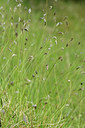 BUITEN BEELD Foto: 297867