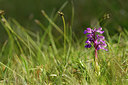 BUITEN BEELD Foto: 297879