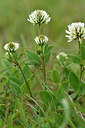 BUITEN BEELD Foto: 297914