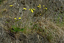 BUITEN BEELD Foto: 297920