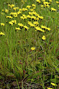 BUITEN BEELD Foto: 297923