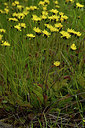 BUITEN BEELD Foto: 297926