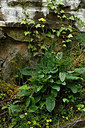 BUITEN BEELD Foto: 297932