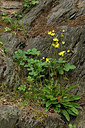 BUITEN BEELD Foto: 297933