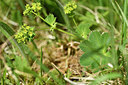 BUITEN BEELD Foto: 297943