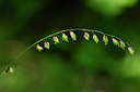 BUITEN BEELD Foto: 297947