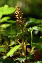 BUITEN BEELD Foto: 297950
