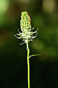 BUITEN BEELD Foto: 297951