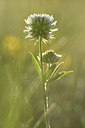 BUITEN BEELD Foto: 297954