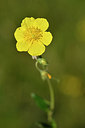 BUITEN BEELD Foto: 297966