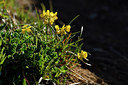 BUITEN BEELD Foto: 297970