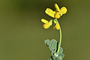 BUITEN BEELD Foto: 297972