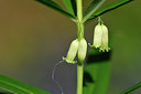 BUITEN BEELD Foto: 297982