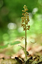 BUITEN BEELD Foto: 297984