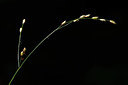 BUITEN BEELD Foto: 297992