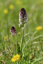 BUITEN BEELD Foto: 298002