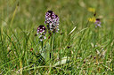 BUITEN BEELD Foto: 298006