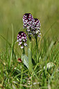 BUITEN BEELD Foto: 298007