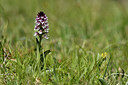 BUITEN BEELD Foto: 298010