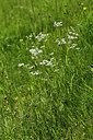 BUITEN BEELD Foto: 298011