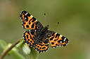 BUITEN BEELD Foto: 298014