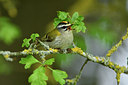 BUITEN BEELD Foto: 298016