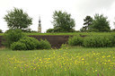 BUITEN BEELD Foto: 298026