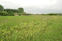 BUITEN BEELD Foto: 298027