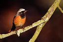 BUITEN BEELD Foto: 298049