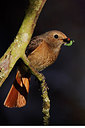 BUITEN BEELD Foto: 298050
