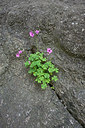 BUITEN BEELD Foto: 298061