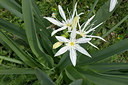 BUITEN BEELD Foto: 298062