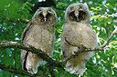 BUITEN BEELD Foto: 298082