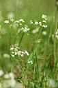 BUITEN BEELD Foto: 298086