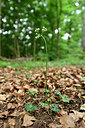 BUITEN BEELD Foto: 298088