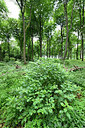 BUITEN BEELD Foto: 298095