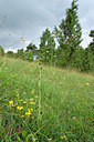 BUITEN BEELD Foto: 298101